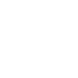 list item image